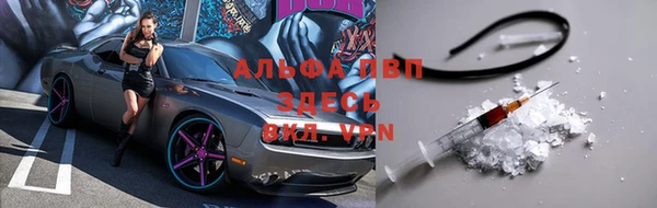 хмурый Верея