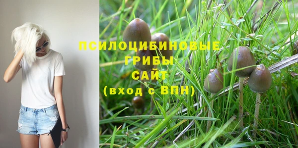 мескалин Рославль
