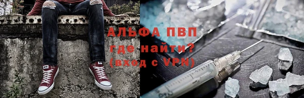 хмурый Верея