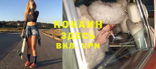 хмурый Верея