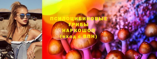 хмурый Верея